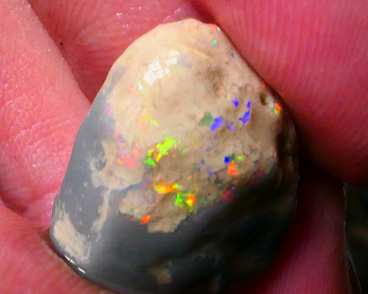 Orange/Red/Yellow Knobby Rough opal of Lightning Ridge 19.00cts Lots of Multicolours showing to Gamble 19x17x11mm Lot B4-A183