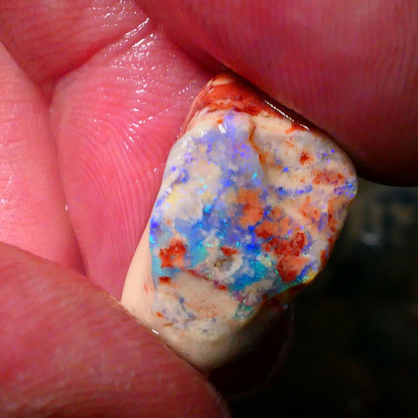 Lightning Ridge Opal formation rub rough 9.50cts Nice Green/Blues tones of fires 20x12x10mm Lot  B4-A182