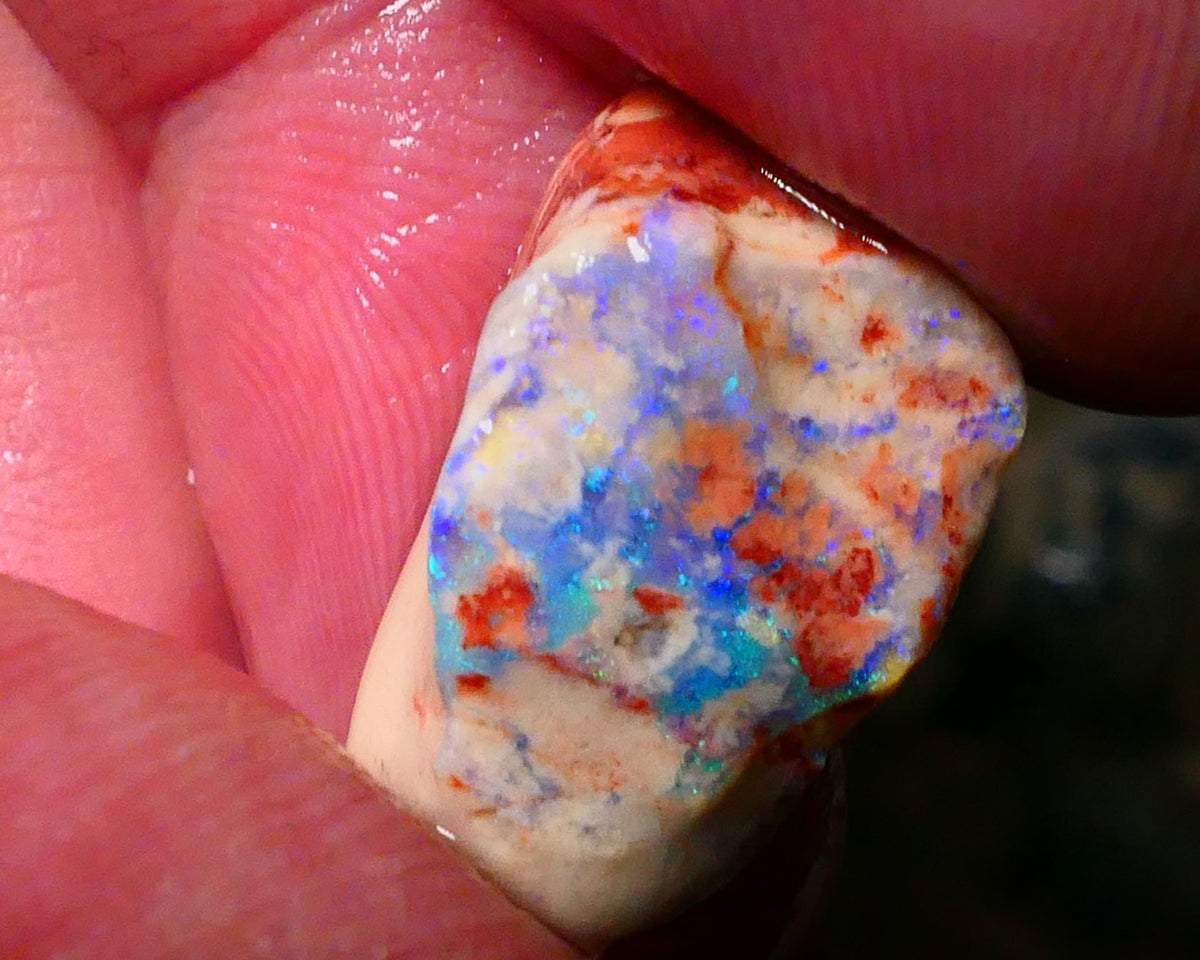 Lightning Ridge Opal formation rub rough 9.50cts Nice Green/Blues tones of fires 20x12x10mm Lot  B4-A182