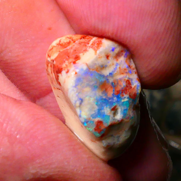 Lightning Ridge Opal formation rub rough 9.50cts Nice Green/Blues tones of fires 20x12x10mm Lot  B4-A182