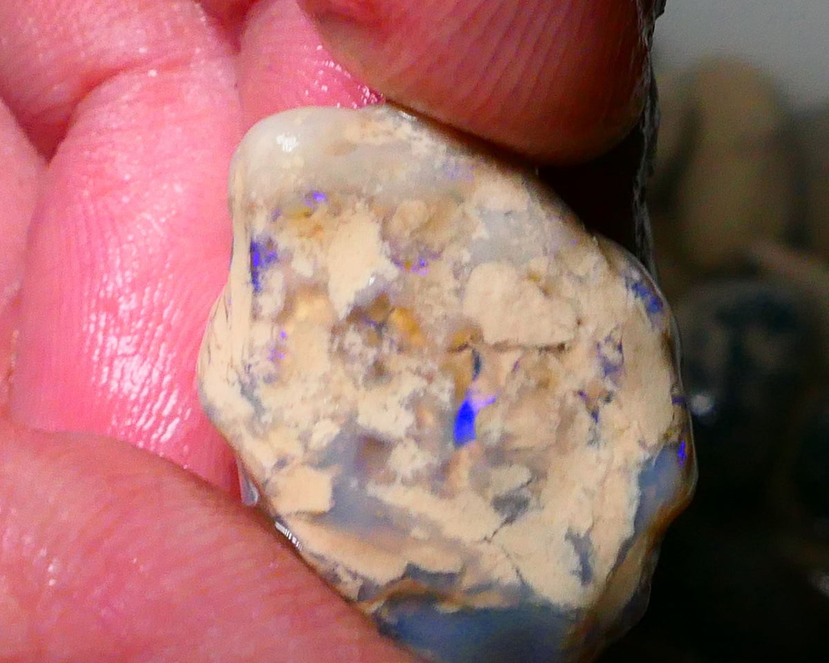 Lightning Ridge Knobby opal formation rough 27.00cts Bits of BLue colours 22x16x15mm Lot B4-A181