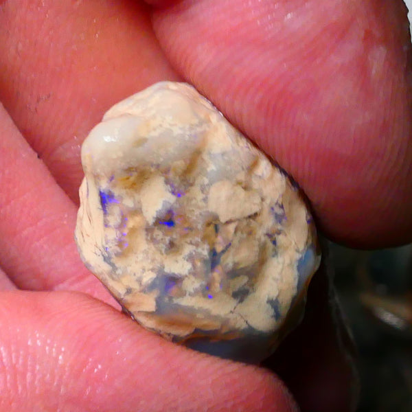 Lightning Ridge Knobby opal formation rough 27.00cts Bits of BLue colours 22x16x15mm Lot B4-A181