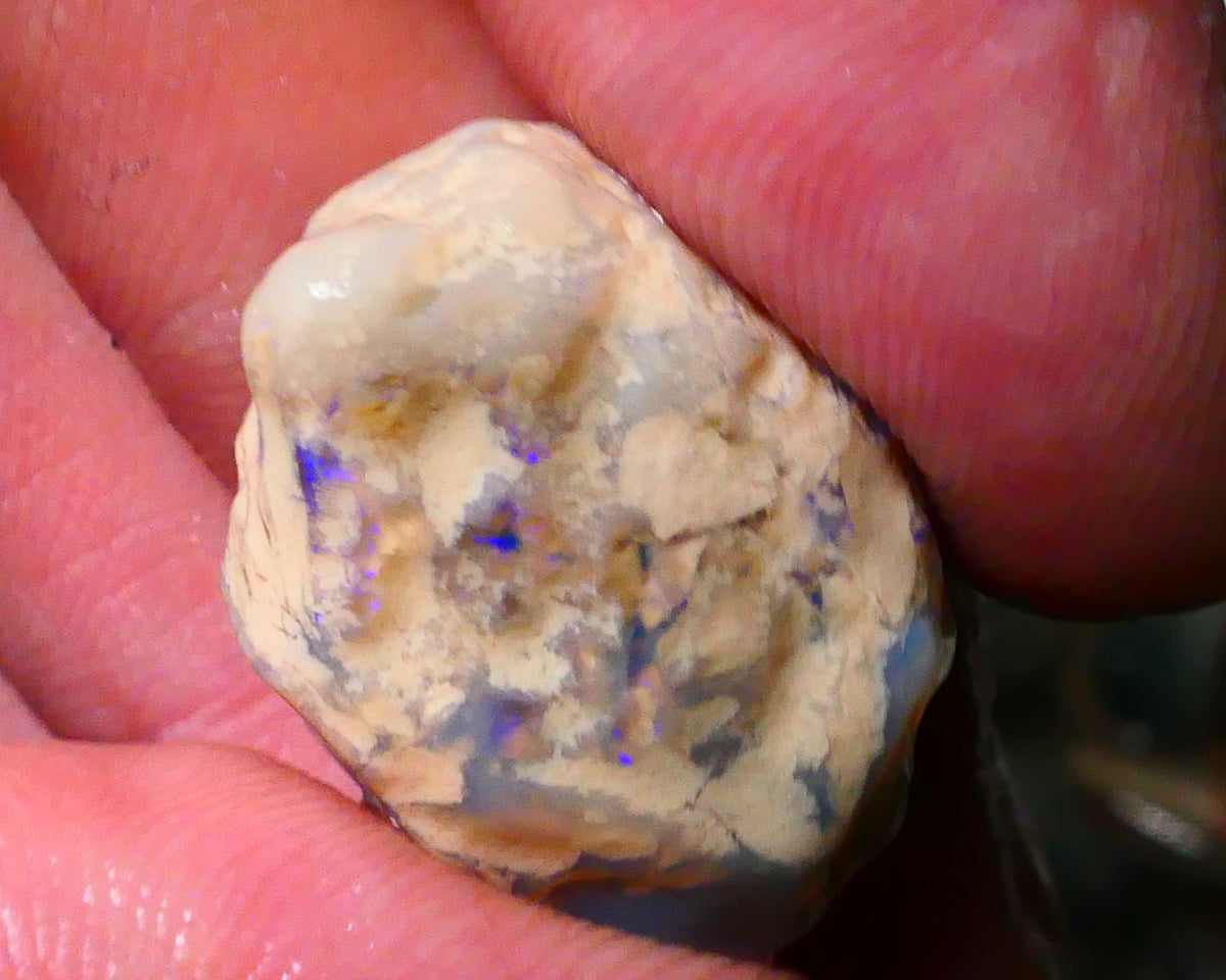 Lightning Ridge Knobby opal formation rough 27.00cts Bits of BLue colours 22x16x15mm Lot B4-A181