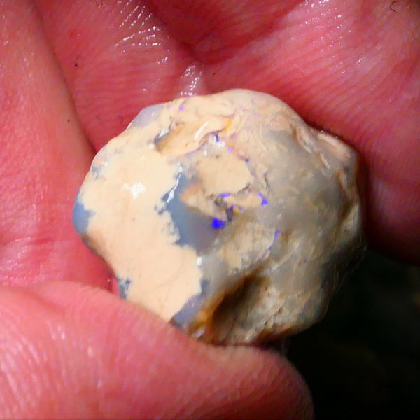 Lightning Ridge Knobby opal formation rough 27.00cts Bits of BLue colours 22x16x15mm Lot B4-A181