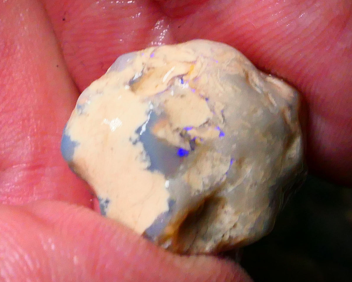 Lightning Ridge Knobby opal formation rough 27.00cts Bits of BLue colours 22x16x15mm Lot B4-A181