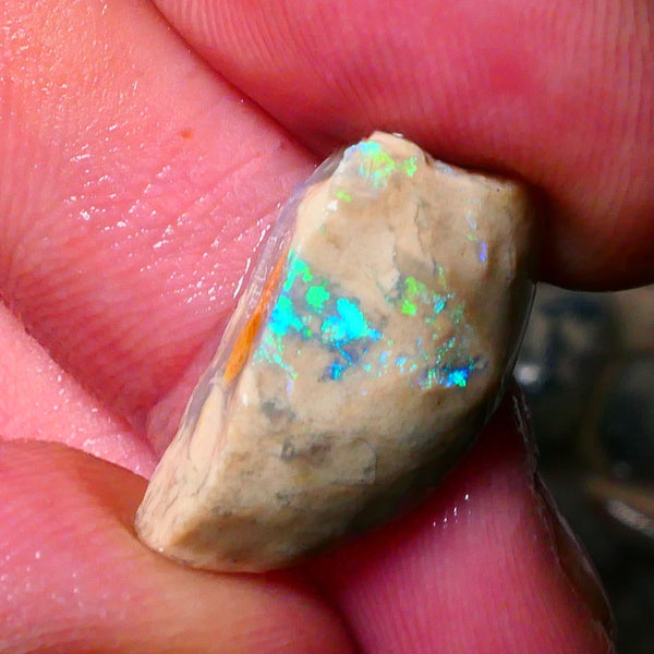 Lightning Ridge konobby formation rough rub 10.50cts Bright Greens to exposed face 22x11x8mm Lot B4-A180