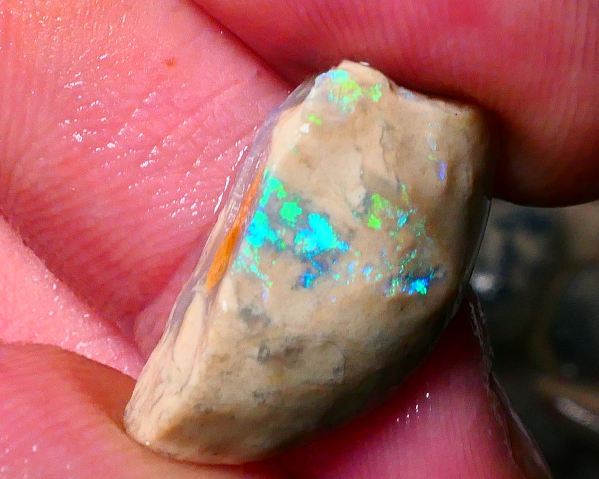 Lightning Ridge konobby formation rough rub 10.50cts Bright Greens to exposed face 22x11x8mm Lot B4-A180