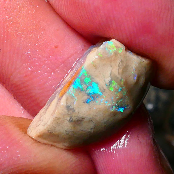 Lightning Ridge konobby formation rough rub 10.50cts Bright Greens to exposed face 22x11x8mm Lot B4-A180