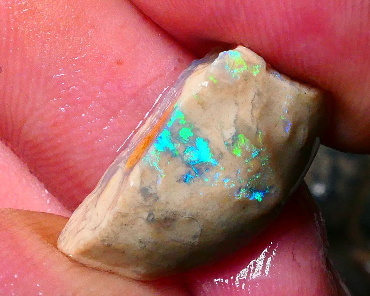 Lightning Ridge konobby formation rough rub 10.50cts Bright Greens to exposed face 22x11x8mm Lot B4-A180