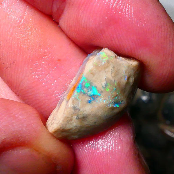 Lightning Ridge konobby formation rough rub 10.50cts Bright Greens to exposed face 22x11x8mm Lot B4-A180