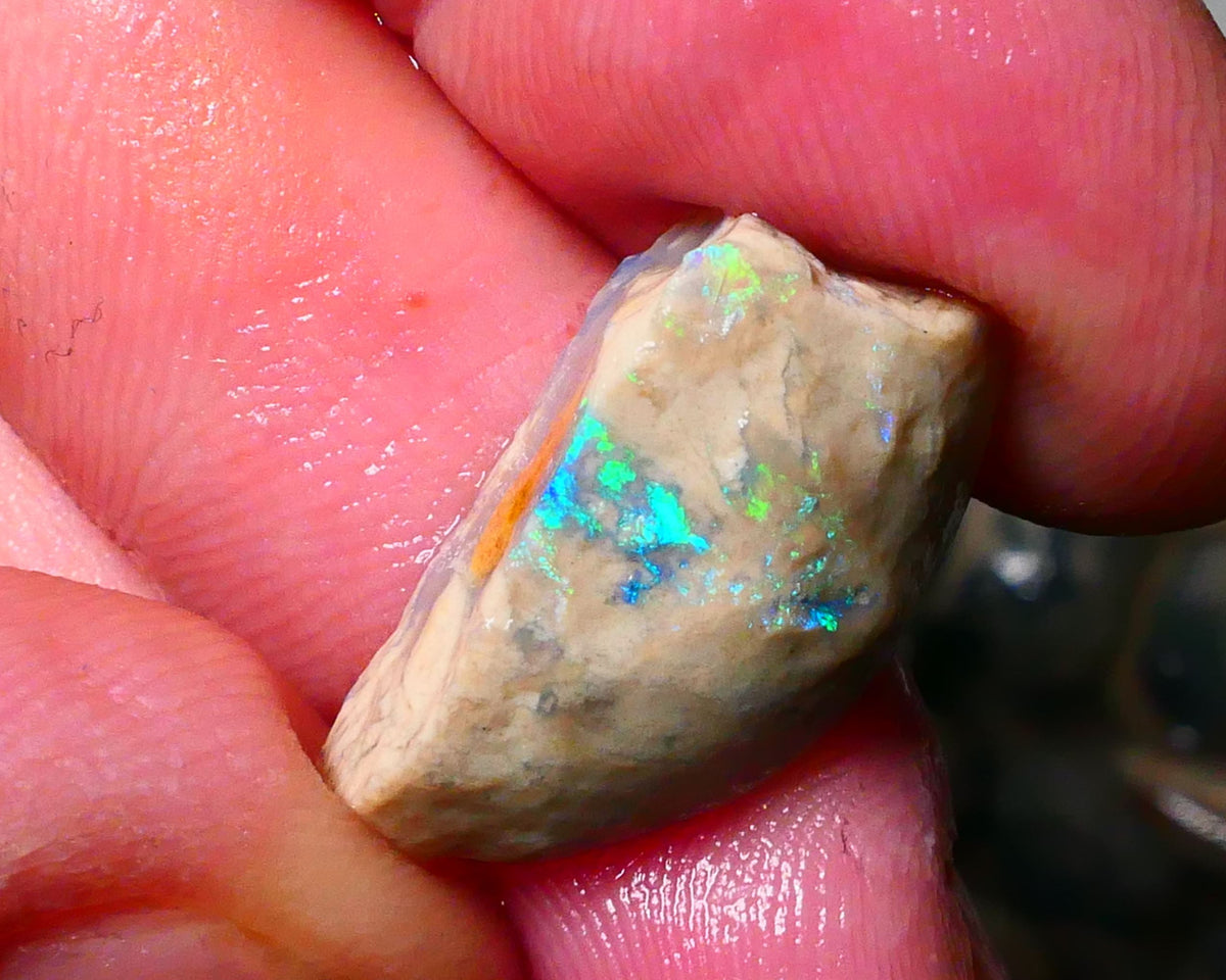 Lightning Ridge konobby formation rough rub 10.50cts Bright Greens to exposed face 22x11x8mm Lot B4-A180