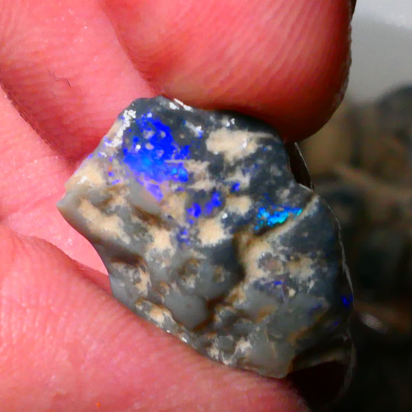 Lightning Ridge Dark Base Knobby opal rough 10.00cts Bright Blues with some Green tones 23x16x6mm Lot  B4-A179