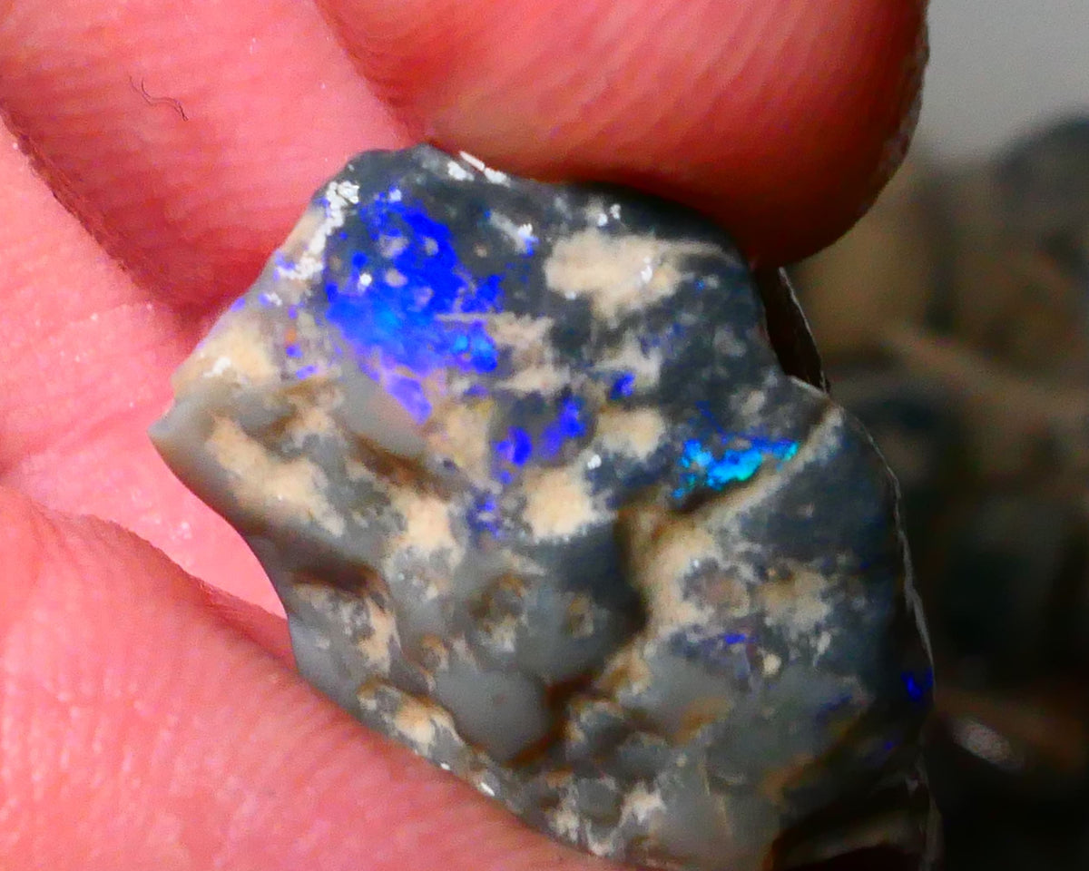 Lightning Ridge Dark Base Knobby opal rough 10.00cts Bright Blues with some Green tones 23x16x6mm Lot  B4-A179