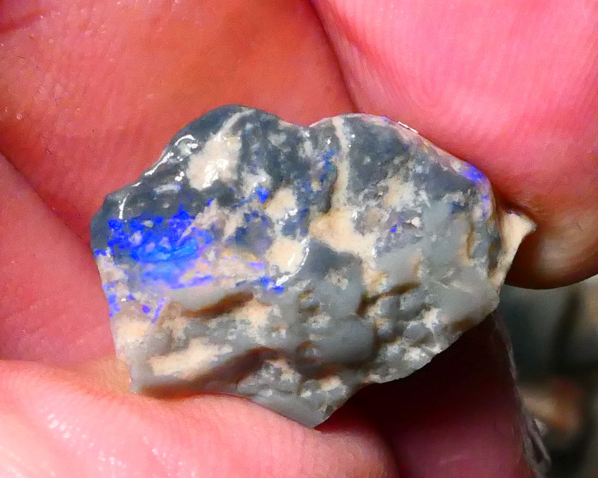 Lightning Ridge Dark Base Knobby opal rough 10.00cts Bright Blues with some Green tones 23x16x6mm Lot  B4-A179