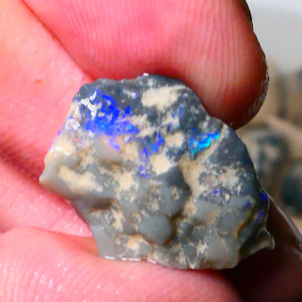 Lightning Ridge Dark Base Knobby opal rough 10.00cts Bright Blues with some Green tones 23x16x6mm Lot  B4-A179