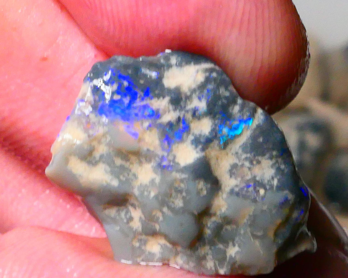 Lightning Ridge Dark Base Knobby opal rough 10.00cts Bright Blues with some Green tones 23x16x6mm Lot  B4-A179