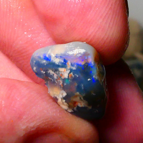 Lightning Ridge Black/Dark Base knobby opal rough 9.00cts Lots nice Blue colours Some Greens showing 18x11x9mm Lot B4-A178