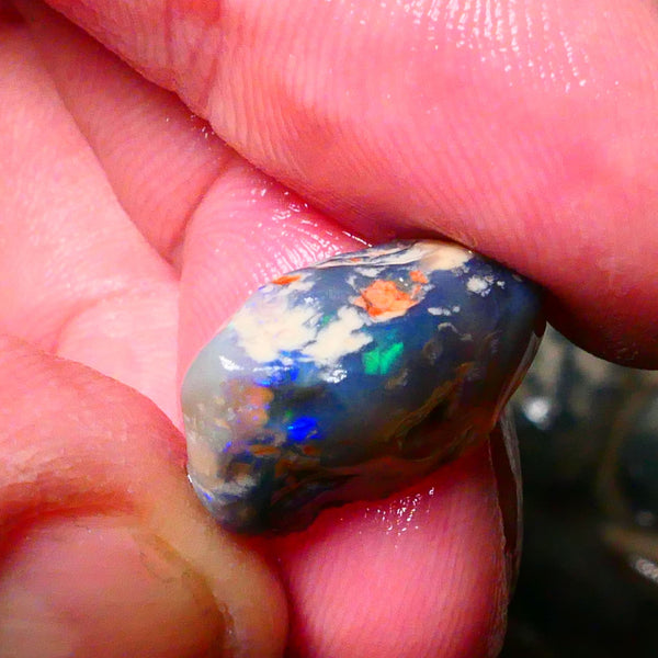 Lightning Ridge Black/Dark Base knobby opal rough 9.00cts Lots nice Blue colours Some Greens showing 18x11x9mm Lot B4-A178