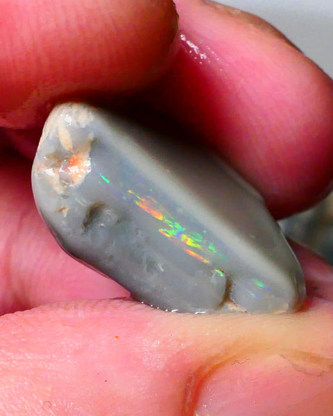 Cutters ? Reds & Rainbow of Multifires ? Dark base knobby 14.00cts Lightning Ridge High Grade gamble 19x15x9mm Lot B4-A176