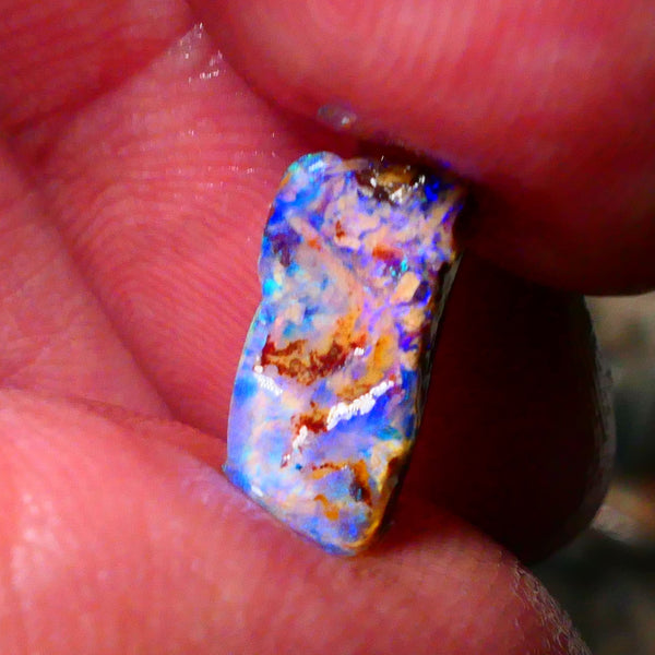 Lightning Ridge Bright OPalised wood fossil rough 2.20cts Striking Blues showing 13x6x5mm Lot B4-A174