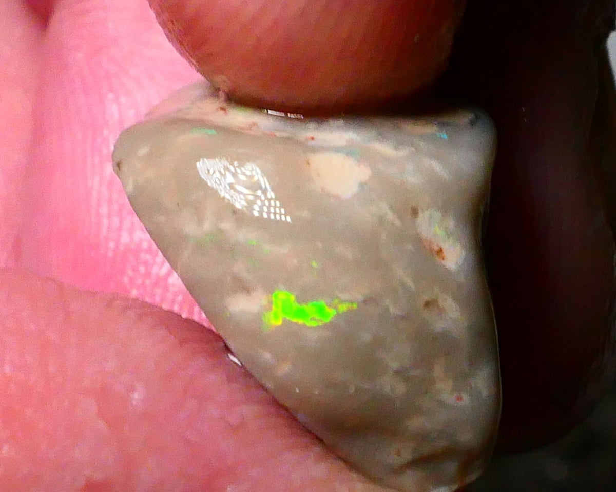 Lightning Ridge Knobby opal formation rough 12.00cts Bright flash of Bright Green/Yellow  fires 19x15x10mm Lot B4-A173