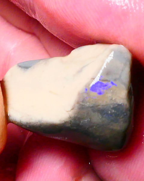 Lightning Ridge Opal formation rough 24.00cts Some Blue colours showing 22x17x13mm Lot  B4-A172