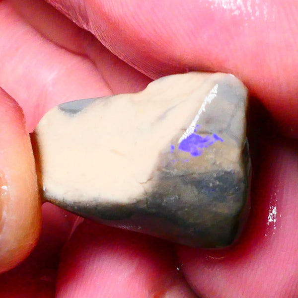 Lightning Ridge Opal formation rough 24.00cts Some Blue colours showing 22x17x13mm Lot  B4-A172