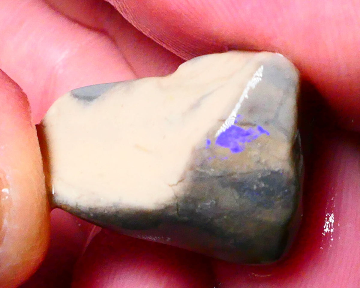 Lightning Ridge Opal formation rough 24.00cts Some Blue colours showing 22x17x13mm Lot  B4-A172