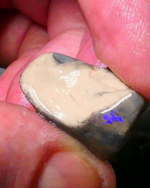 Lightning Ridge Opal formation rough 24.00cts Some Blue colours showing 22x17x13mm Lot  B4-A172