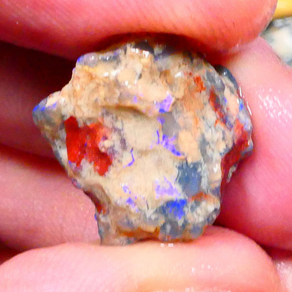 Lightning Ridge Unntouches knobby opal rough 10.00cts Blue colours to chase 20x16x9mm Lot  B4-A206