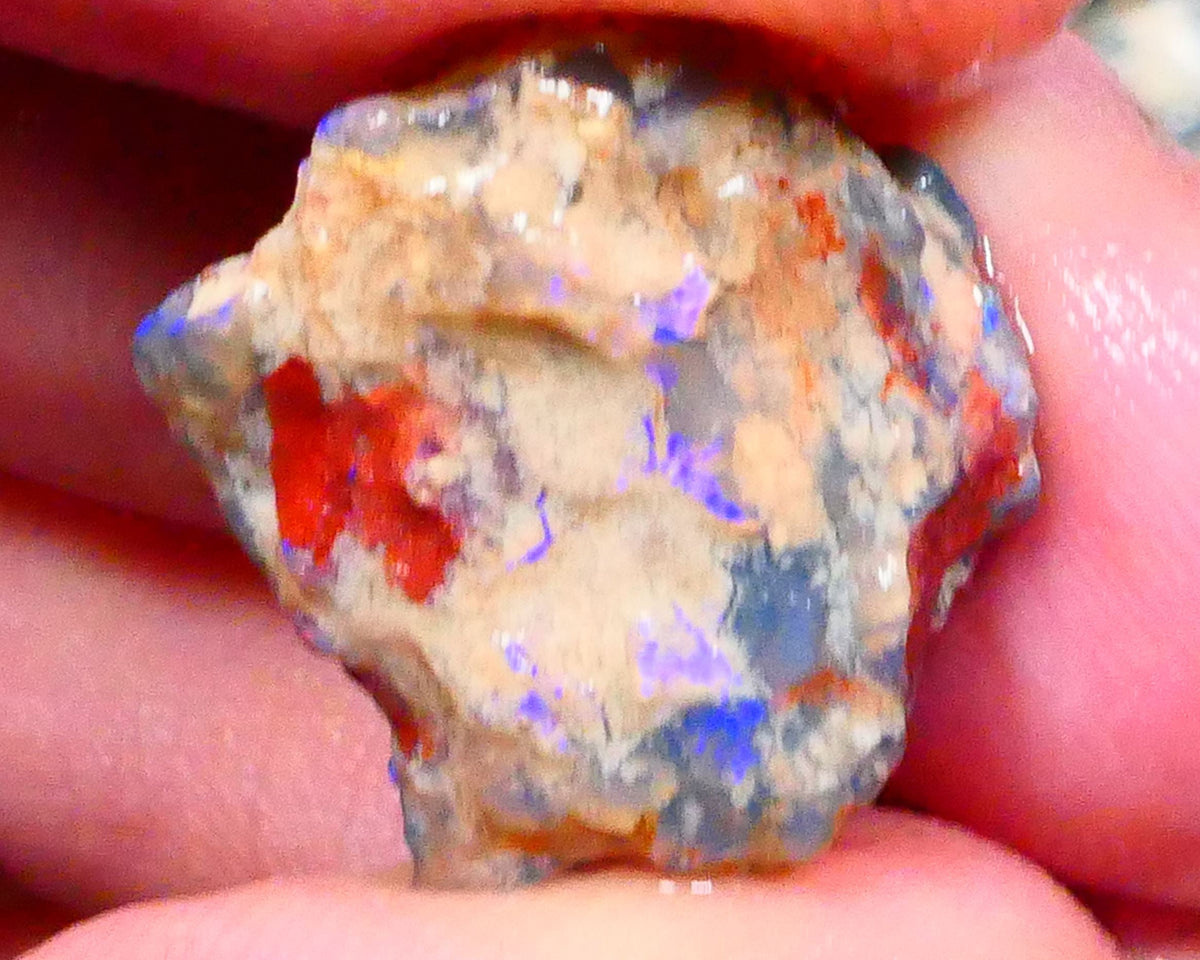 Lightning Ridge Unntouches knobby opal rough 10.00cts Blue colours to chase 20x16x9mm Lot  B4-A206