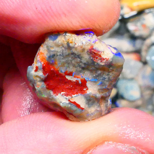 Lightning Ridge Unntouches knobby opal rough 10.00cts Blue colours to chase 20x16x9mm Lot  B4-A206