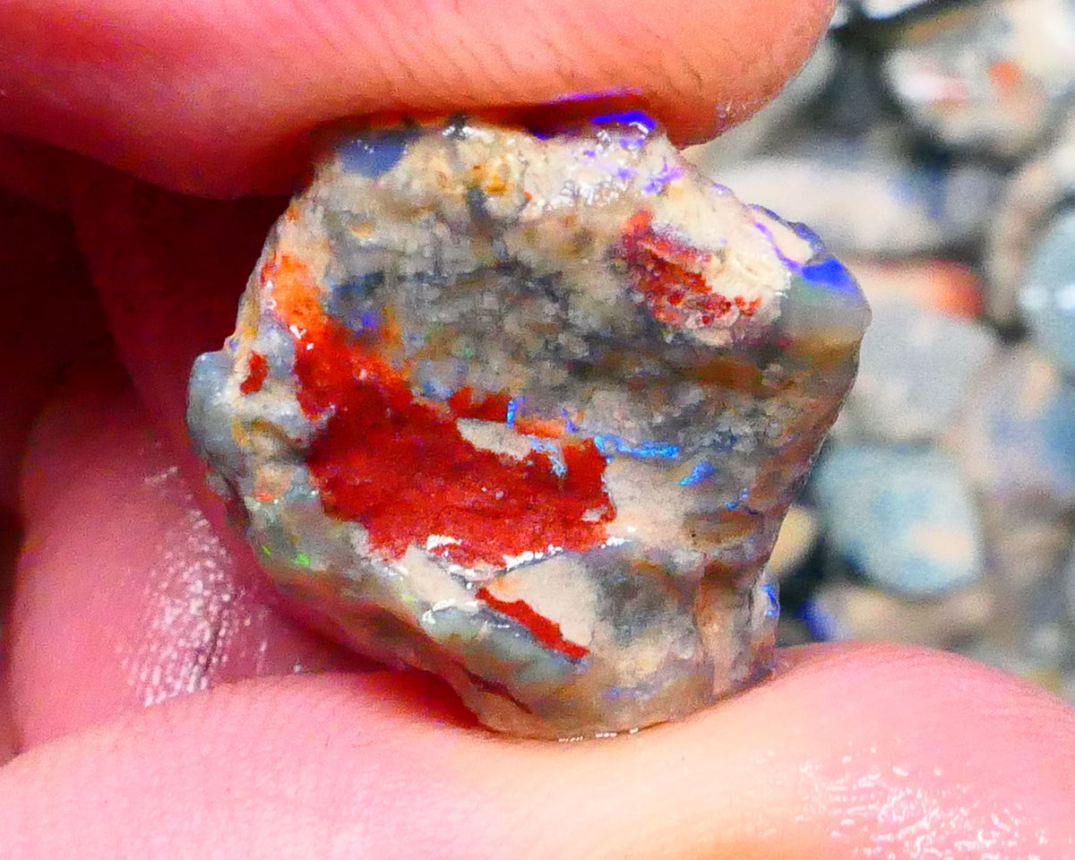 Lightning Ridge Unntouches knobby opal rough 10.00cts Blue colours to chase 20x16x9mm Lot  B4-A206