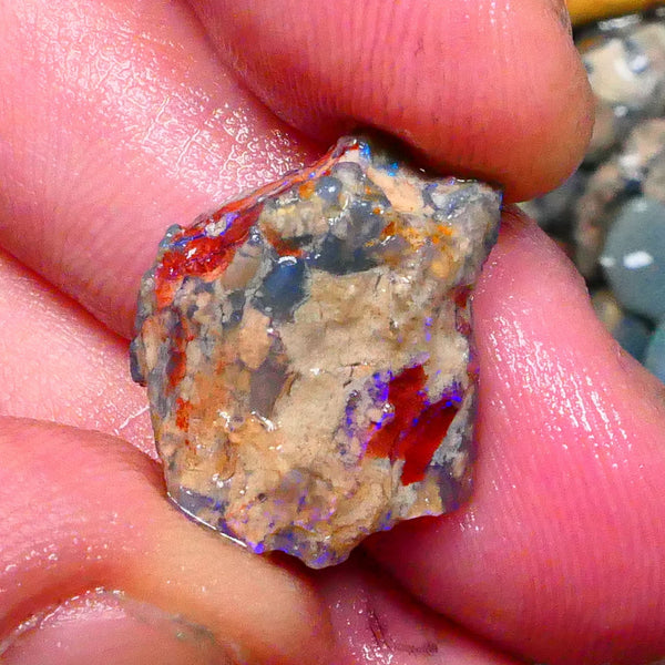 Lightning Ridge Unntouches knobby opal rough 10.00cts Blue colours to chase 20x16x9mm Lot  B4-A206