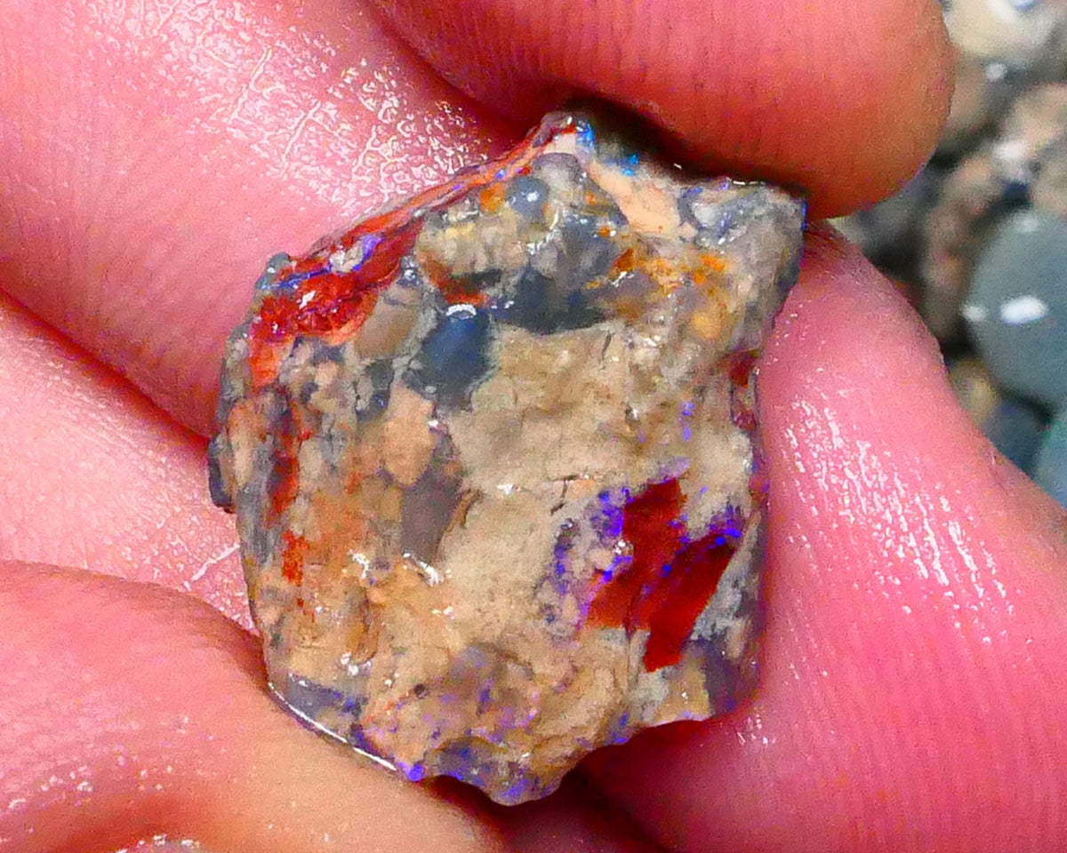 Lightning Ridge Unntouches knobby opal rough 10.00cts Blue colours to chase 20x16x9mm Lot  B4-A206