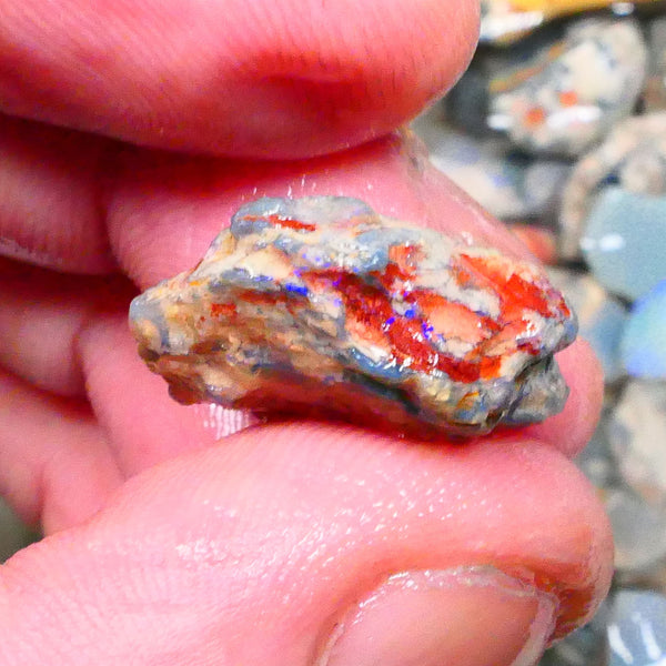 Lightning Ridge Unntouches knobby opal rough 10.00cts Blue colours to chase 20x16x9mm Lot  B4-A206