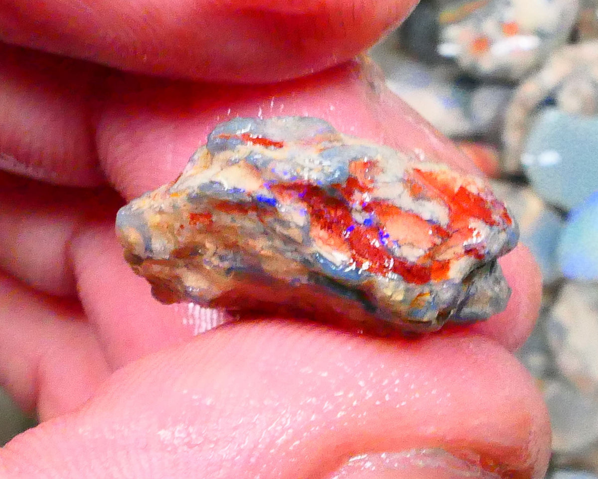 Lightning Ridge Unntouches knobby opal rough 10.00cts Blue colours to chase 20x16x9mm Lot  B4-A206