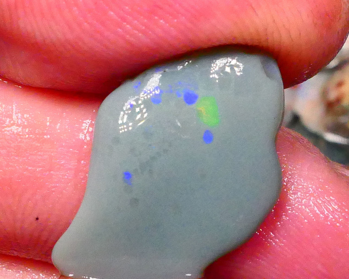 Dark Base rub rough opal of lightning Ridge 9.50cts Zone of Greens & Blues exposed 22x14x5mm Lot  B4-A204