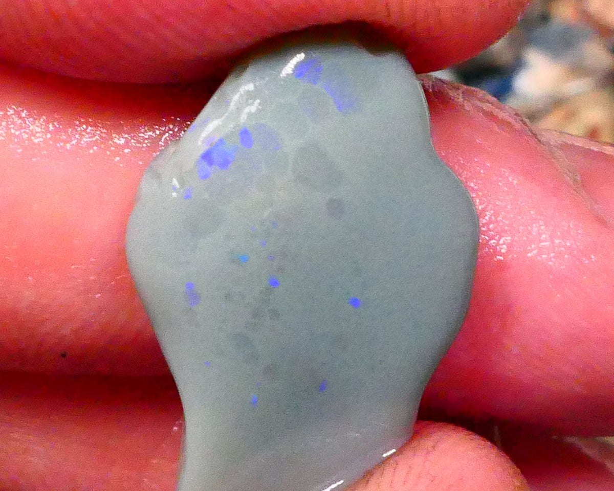 Dark Base rub rough opal of lightning Ridge 9.50cts Zone of Greens & Blues exposed 22x14x5mm Lot  B4-A204