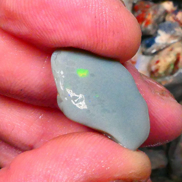 Dark Base rub rough opal of lightning Ridge 9.50cts Zone of Greens & Blues exposed 22x14x5mm Lot  B4-A204