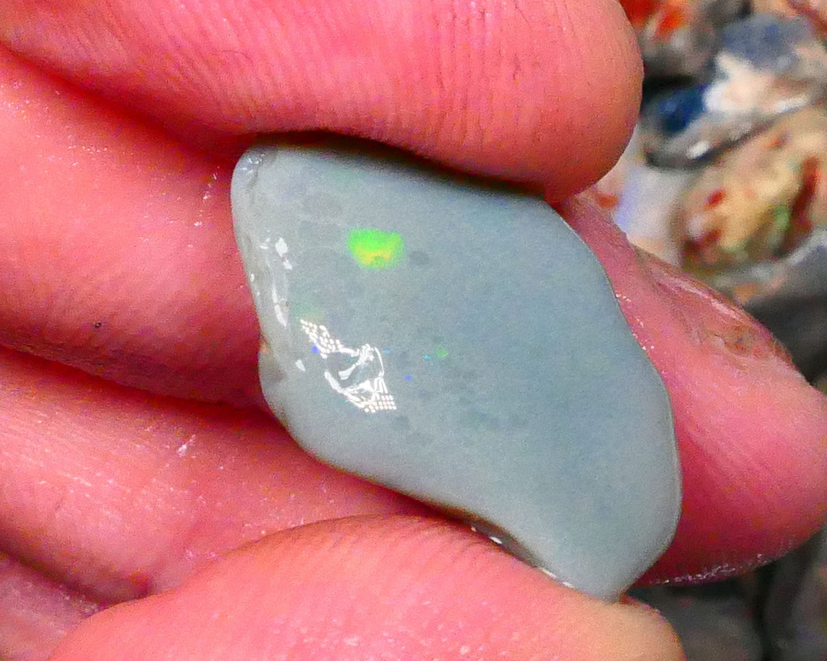 Dark Base rub rough opal of lightning Ridge 9.50cts Zone of Greens & Blues exposed 22x14x5mm Lot  B4-A204