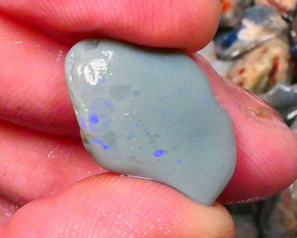 Dark Base rub rough opal of lightning Ridge 9.50cts Zone of Greens & Blues exposed 22x14x5mm Lot  B4-A204