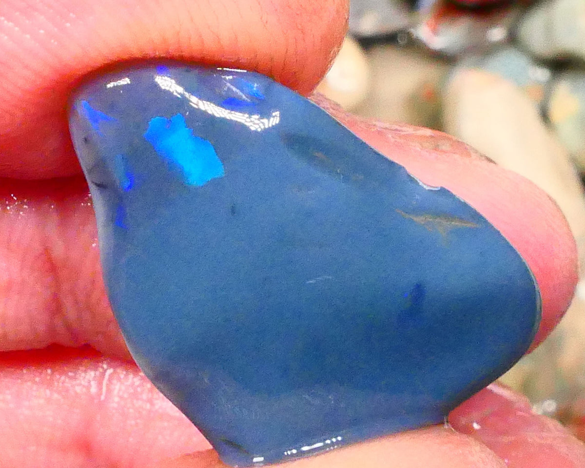 Big Size Black Rub Rough of Lightning Ridge 17.00cts Zones of Blue colours exposed  24x15x8mm Lot B4-A203