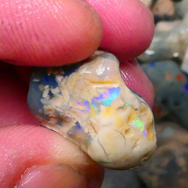 Orange/Yellow Multifires on this 23.00cts Lighting Ridge Knobby opal Rough 19x18x11mm Lot B4-A202