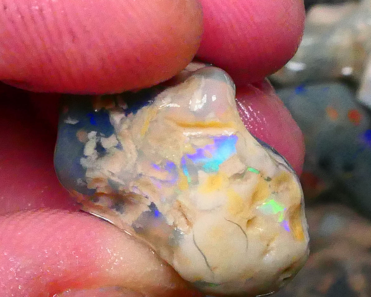 Orange/Yellow Multifires on this 23.00cts Lighting Ridge Knobby opal Rough 19x18x11mm Lot B4-A202