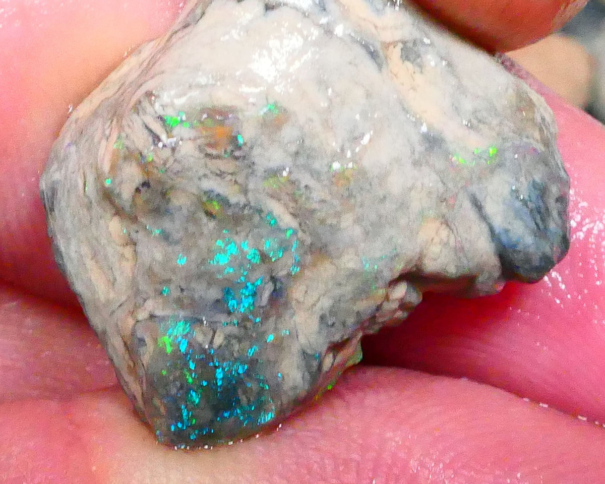 Gorgeous Lightning Ridge opal formation rough 17.00cts Lots of Multicolours showing collect or explore 21x17x10mm Lot B4-A218