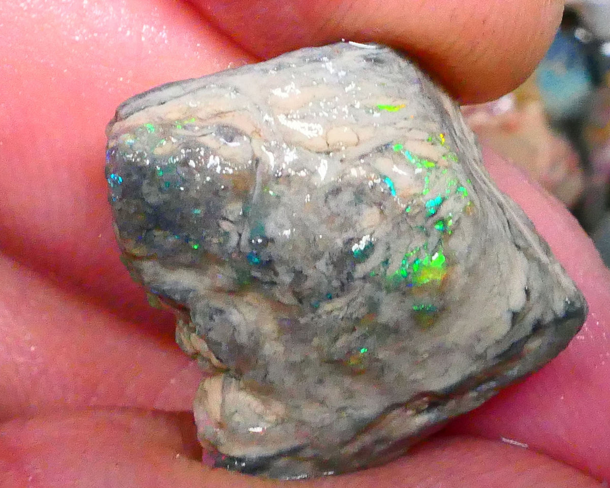 Gorgeous Lightning Ridge opal formation rough 17.00cts Lots of Multicolours showing collect or explore 21x17x10mm Lot B4-A218