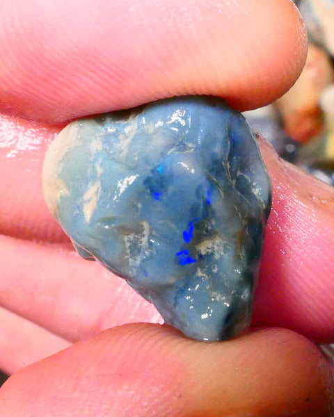 Lightning Ridge Dark Base knobby opal rough 18.00cts Blue fires to chase 21x16x11mm Lot B4-A270