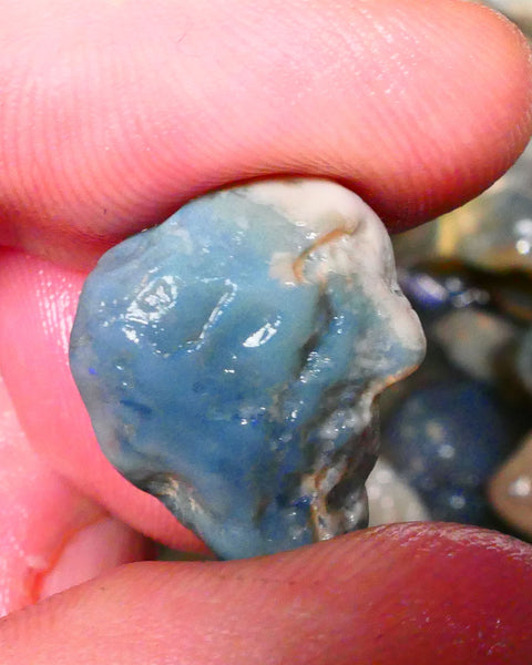 Lightning Ridge Dark Base knobby opal rough 18.00cts Blue fires to chase 21x16x11mm Lot B4-A270