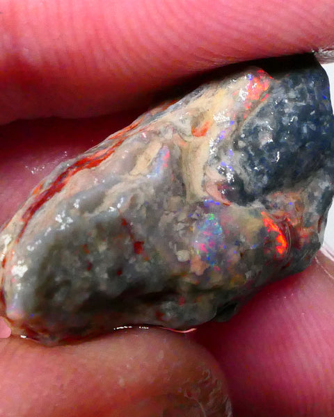 Lightning Ridge Dark Base opal formation 13.50cts Reds anyone ? 26x13x10mm   Lot B4-A309
